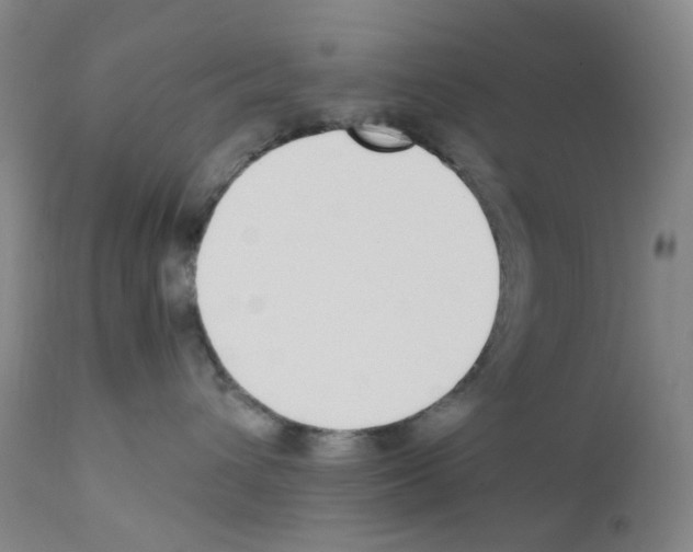 X0000111780432200909031137