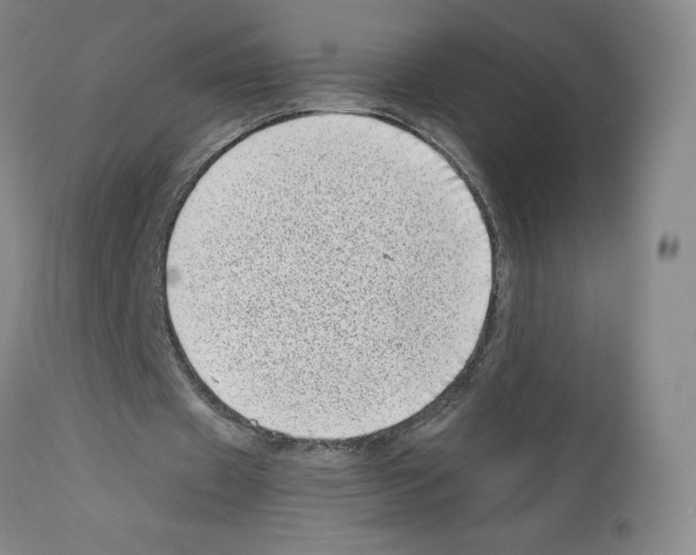 X0000111780433200909031137
