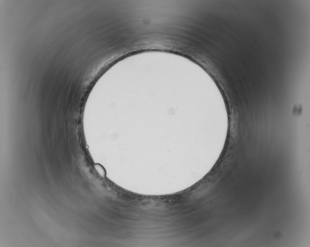 X0000111780434200909031137