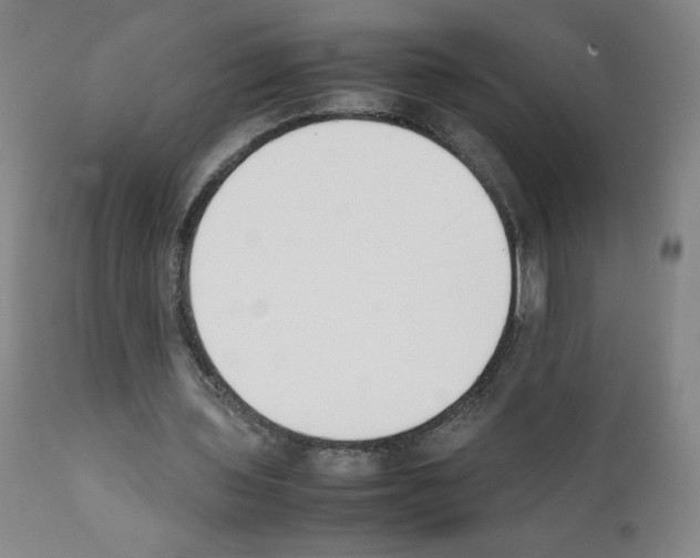 X0000111780435200909031137