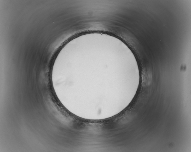 X0000111780436200909031137