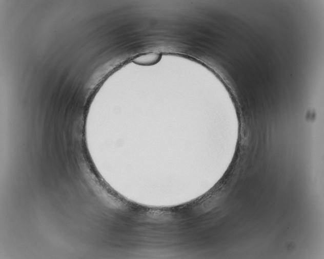 X0000111780437200909031137