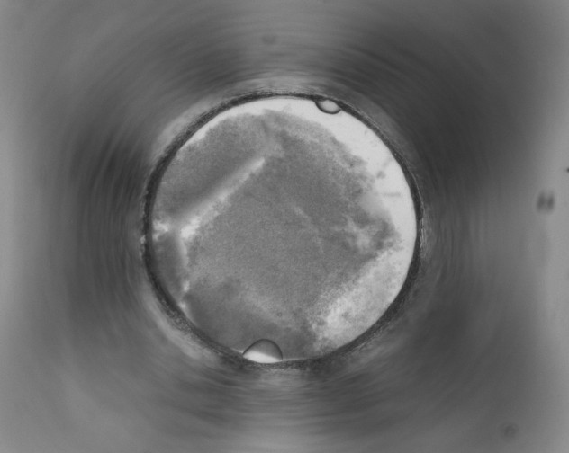 X0000111780438200909031137