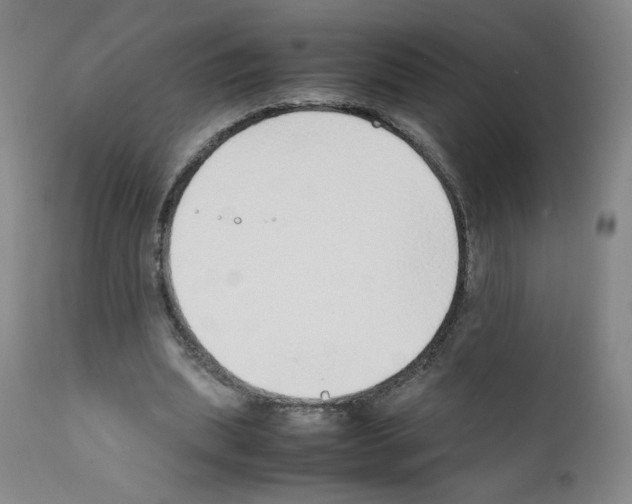X0000111780439200909031137