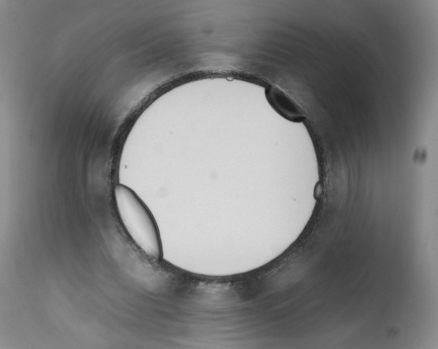 X0000111780440200909031137