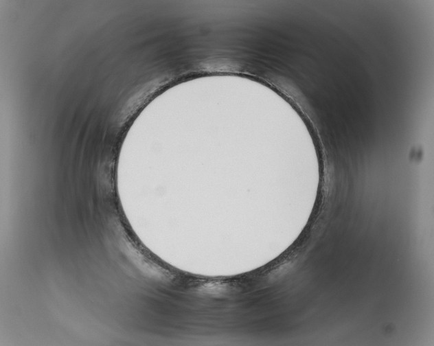 X0000111780441200909031137