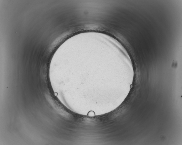X0000111780442200909031137
