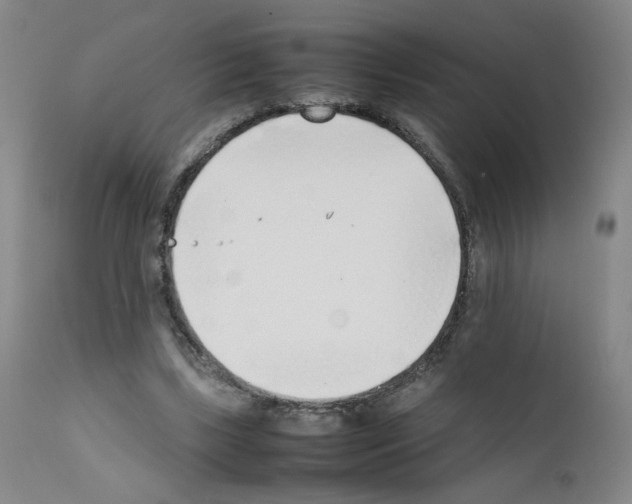 X0000111780443200909031137