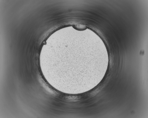 X0000111780445200909031137