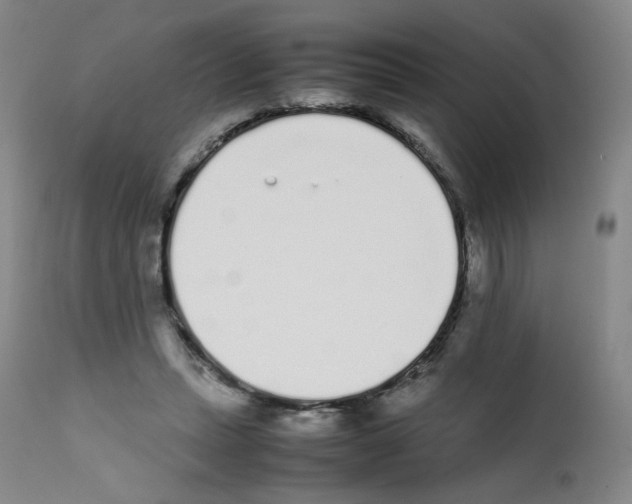 X0000111780447200909031137