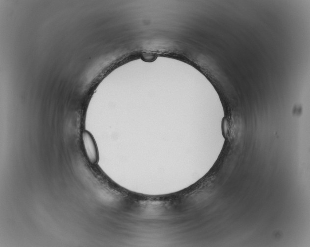 X0000111780448200909031137