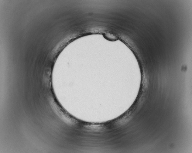 X0000111780449200909031137