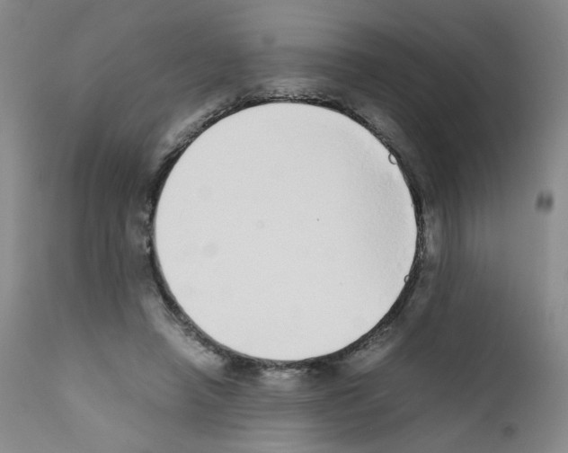 X0000111780450200909031137