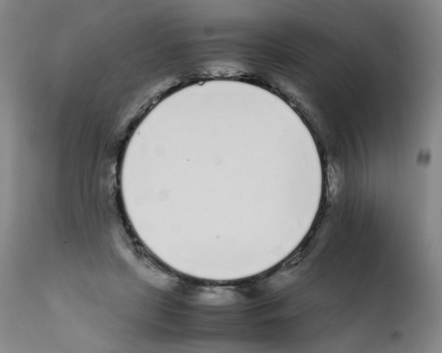X0000111780451200909031137