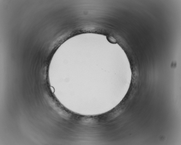 X0000111780454200909031137