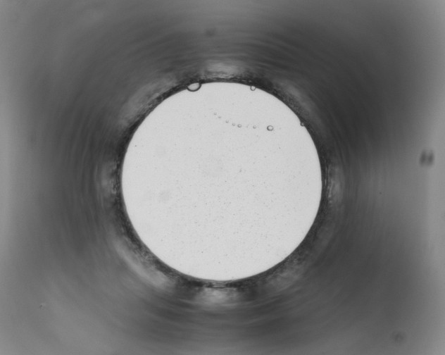 X0000111780455200909031137