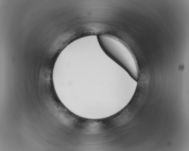 X0000111780456200909031137