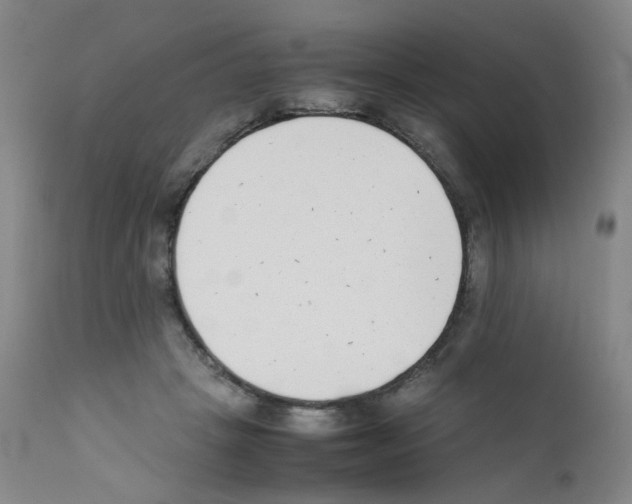 X0000111780457200909031137