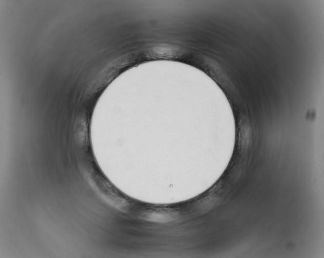 X0000111780459200909031137