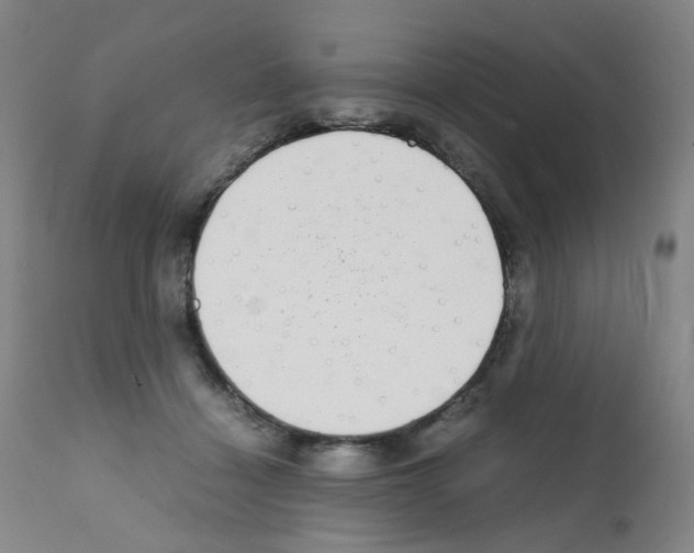 X0000111780460200909031137