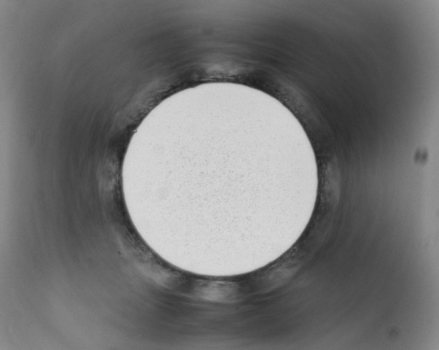 X0000111780463200909031137