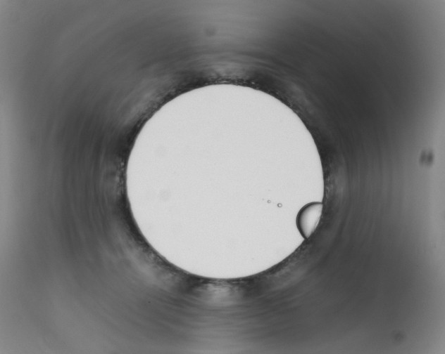 X0000111780464200909031137