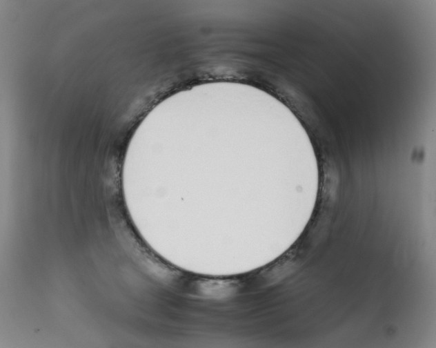 X0000111780465200909031137