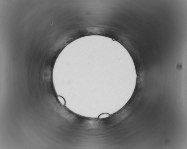 X0000111780466200909031137