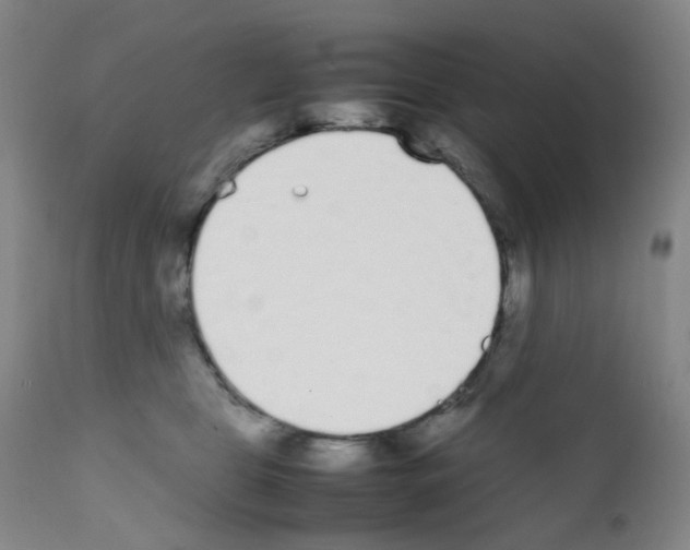 X0000111780469200909031137