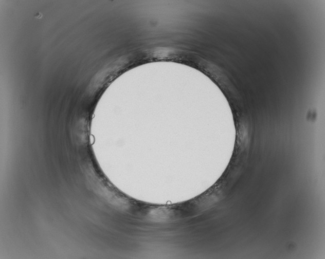 X0000111780470200909031137
