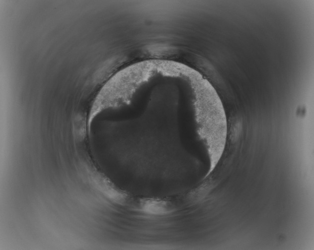 X0000111780471200909031137
