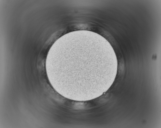 X0000111780473200909031137