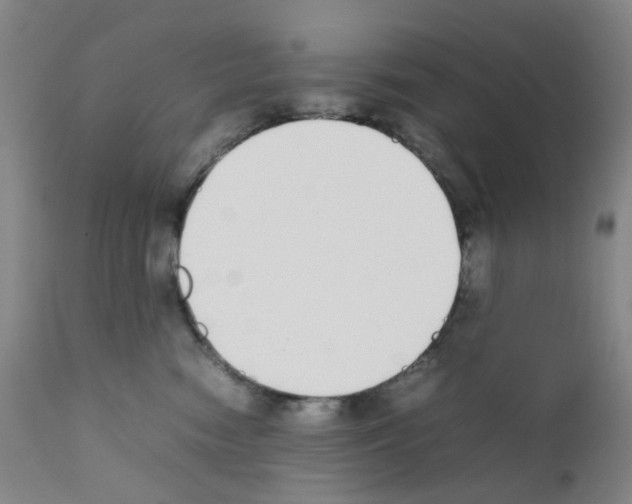 X0000111780474200909031137