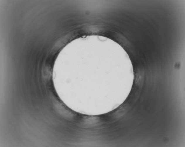X0000111780476200909031137
