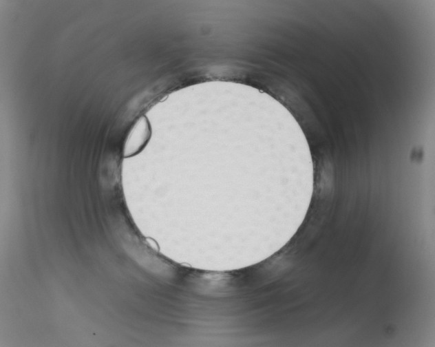X0000111780478200909031137