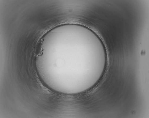 X0000111780481200909031137