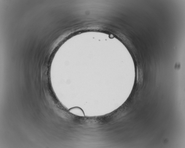X0000111780483200909031137