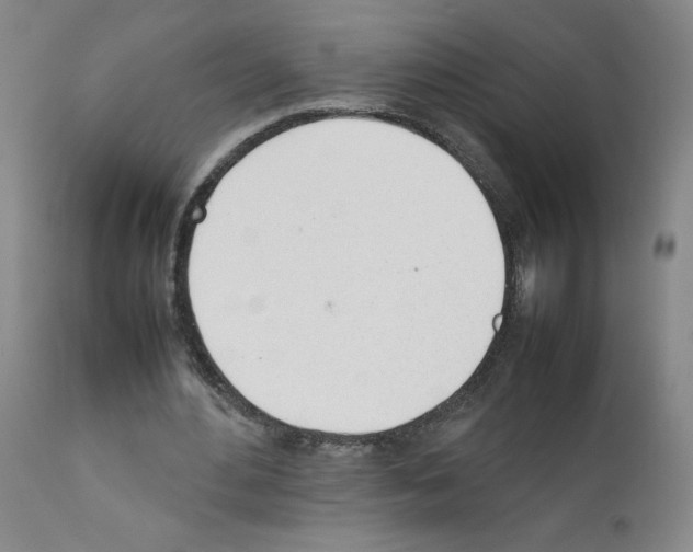 X0000111780484200909031137