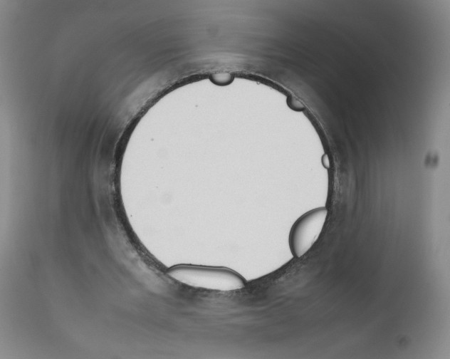 X0000111780485200909031137