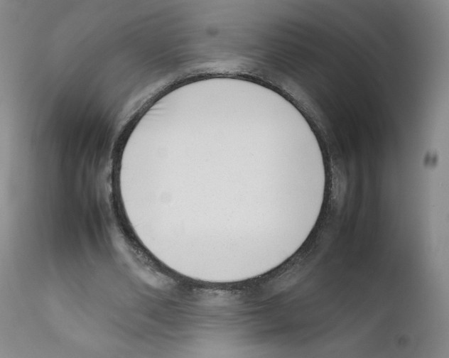 X0000111780486200909031137