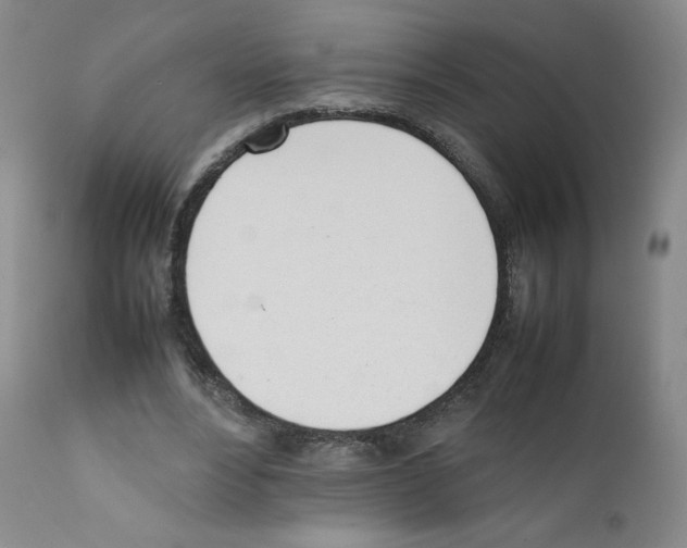 X0000111780488200909031137
