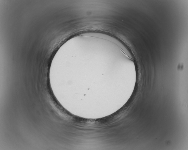 X0000111780493200909031136