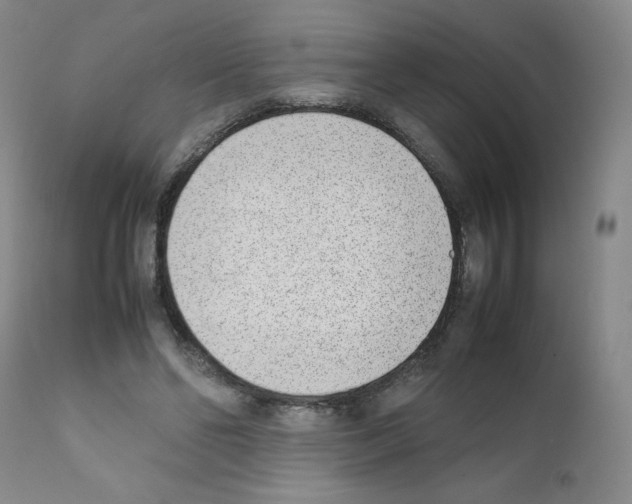 X0000111780494200909031136