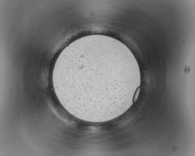 X0000111780496200909031136