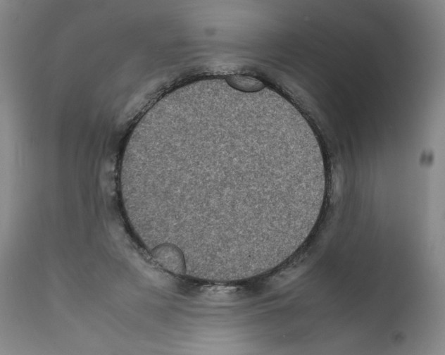 X0000111780497200909031136