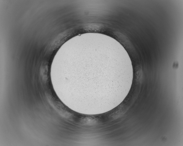X0000111780498200909031136