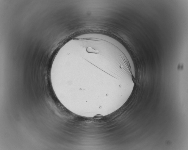 X0000111780500200909031136