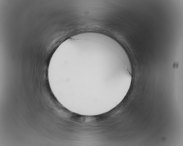 X0000111780501200909031136