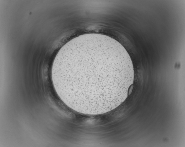 X0000111780504200909031136
