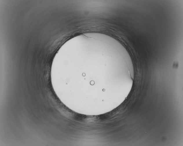 X0000111780505200909031136
